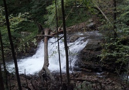 Beautiful waterfall i saw on my hike friday.